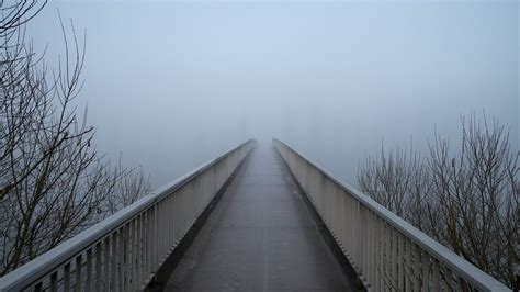 photo bridge fog web grey empty  image  pixabay