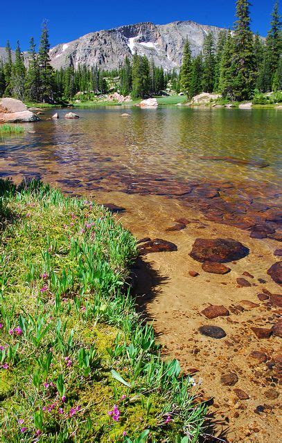 shallow lake beautiful nature beautiful landscapes nature scenes