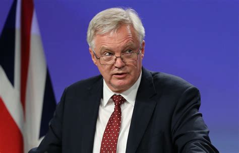 britains brexit minister  uk     pay  temporary customs deal  eu