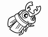 Beetle Coloring Dung Colorear Coloringcrew sketch template