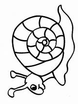 Escargot Colorat Coquille Caracol Melci Animale Animals 1040 Planse Hugolescargot P10 Colorier Coloriages Enfants Caracoles Snails Primiiani Desene Partager sketch template