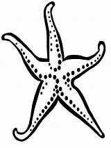 Starfish Coloring Pages Printable Kids sketch template