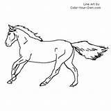 Running Coloring Horse Thoroughbred Pages Color Kids Index Children Line Own sketch template