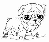 Anjing Anak Mewarnai Lucu Bulldog Animasi Murid Diwarnai Binatang Terlengkap Kemudian Membuka Anjingnya Klik sketch template