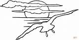 Soleil Coucher Gaviota Gaviotas Tramonto Colorare Paisajes Mewa Drawing Coloriages Seagulls Kolorowanki Mewy Sunsets Puesta Dzieci Volando Słońca Imagenes Seagull sketch template