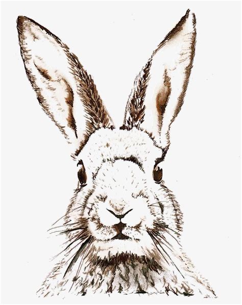 pink rabbit sketches  easter printable vintage clip art