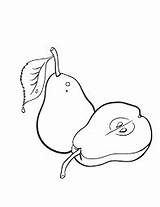 Pears Fruit sketch template