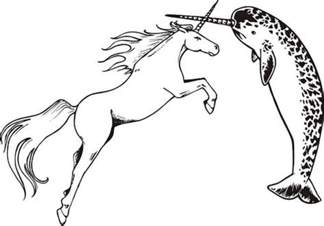 narwhal  unicorn coloring page unicorn coloring pages coloring
