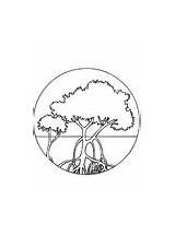 Bomen Mangrove Roggen Zwemmende sketch template