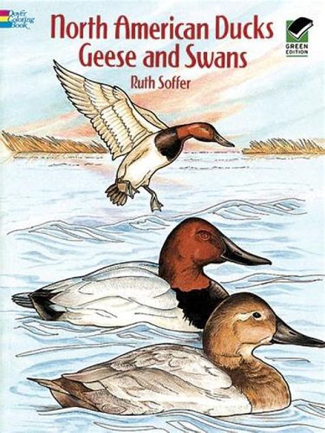 north american ducks geese  swans  ruth soffer english