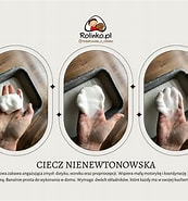 Image result for Ciecz_nienewtonowska. Size: 173 x 185. Source: rolinko.pl