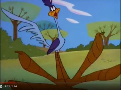 image the bugs bunny and tweety show roadrunner meep meep png soundeffects wiki fandom