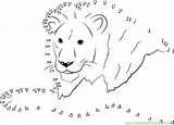 Lion Dot Template Dots Connect Worksheet Kids Printable Calm Animal Animals Templates Print sketch template