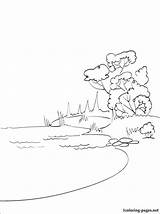 Pages Lake Coloring Color Habitats Summer 1coloring sketch template