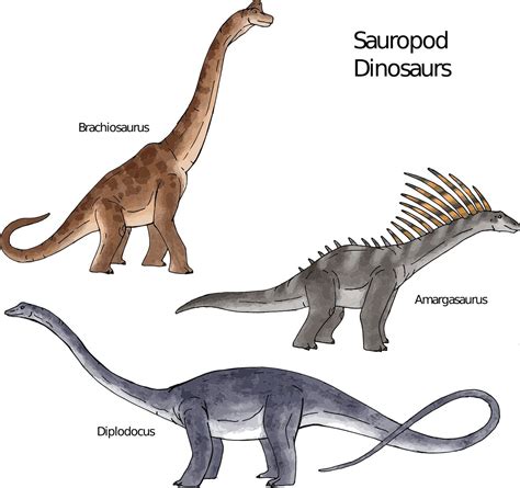 ancestors  sauropod dinosaurs  bipedal  quick  move