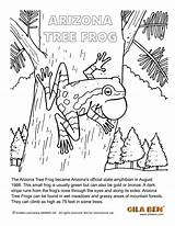 Coloring Arizona Tree Frog State Amphibian Artwork Printable sketch template
