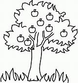 Coloring Tree Apple Pages Popular sketch template