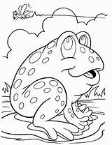 Coloring Frog Pages Preschool Print sketch template