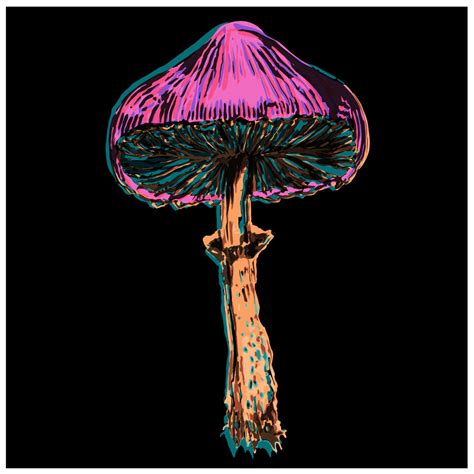 psychedelic mushroom behance