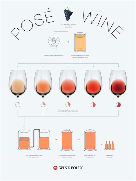 rose quick guide  pink wine wine folly