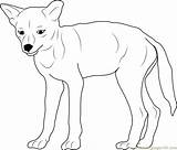 Coyote Baby Coloring Pages Kids Coloringpages101 sketch template