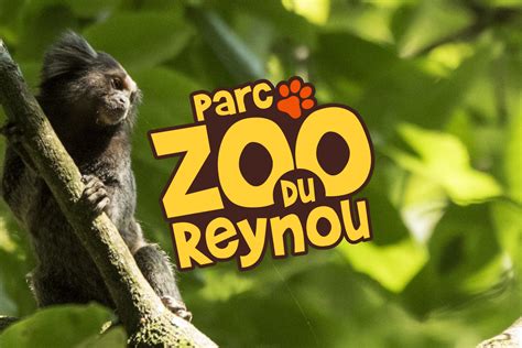 dierentuin parc zoo du reynou kinderactiviteit la bastide