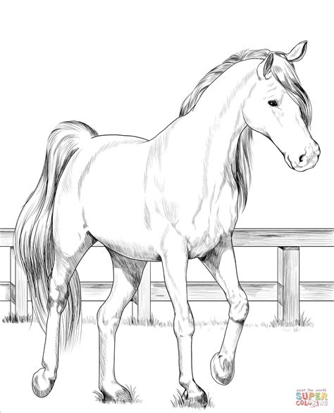 realistic horse coloring pages paint coloring pages