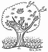 Seed Coloring Tree Mustard Clipart Parable Clip Pages Seeds Kids Drawing Crafts Template Bible Cliparts Clipartkid Plant School Clipground Library sketch template