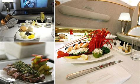 the best airline meals are revealed daily mail online