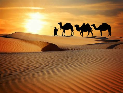 무료 이미지 대상 사막 원정 여행 모래 언덕 타기 더 라자스탄 낙다 트레킹 저녁 황혼 일몰 연예인