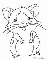Hamsters Colorear Kleurplaten Kleurplaat Hellokids Kooi Gerbi Raton Basteln Zum Pat Desenho Cumbria Apprendre Downloaden Mascotas Uitprinten Ausmalen sketch template