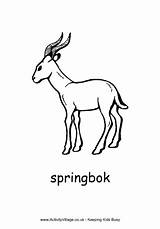 Springbok Colouring Pages Africa African Country South Coloring Crafts Symbols Animal Animals Kids Heritage Activityvillage Color Projects Outline Theme Explore sketch template