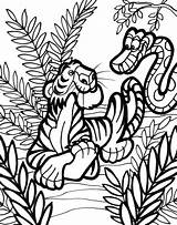 Ausmalbilder Dschungeltiere Dschungel Malvorlagen sketch template