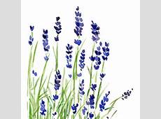 Lavender plant art print of original watercolor by TheJoyofColor