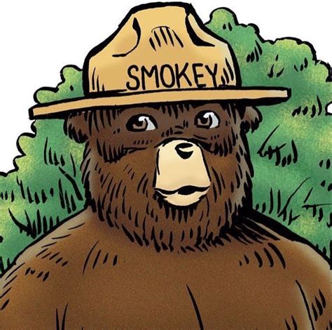 pin  sally williams  smokey bear smokey  bears smokey bear