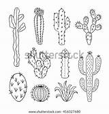 Coloring Pages Template Tumbleweed Cactus Outline Vector Plants Nature Sketch Drawn Hand sketch template
