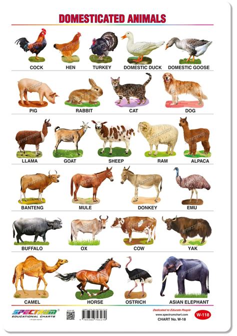 chart domestic animals