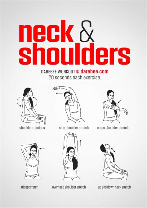 regular neck stretch exercises