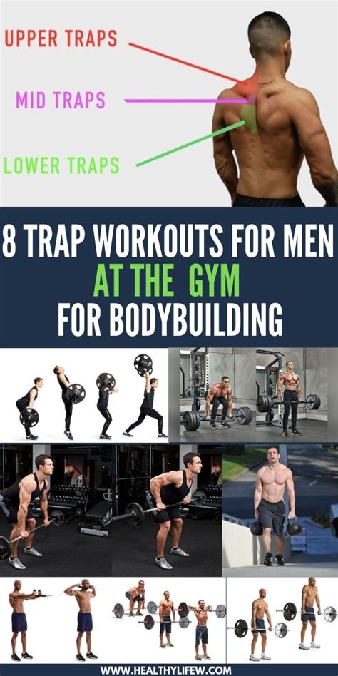 8 Trap Workouts For Men At The Gym For Bodybuilding Traps Workout
