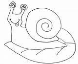 Snail Coloring Pages Animal Kids sketch template