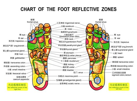 foot care spa boca raton reflexology massage spa