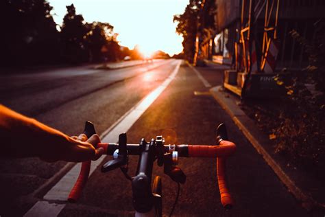 telefoonhouder fiets action aldi lidl de beste goedkope telefoonhouders fiets budgeto