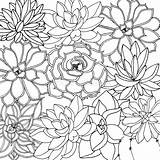 Pagina Krabbel Bloemenachtergrond Kleurende Krabbels Doodles Doodle Vettore Coloritura Floreale Succulenti Scarabocchi sketch template