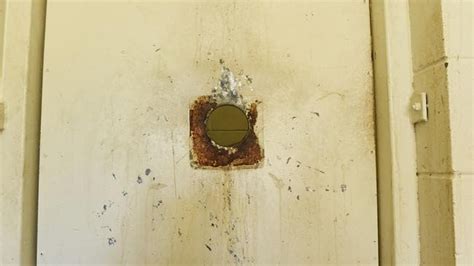 glory holes make resurgence in darwin public bathrooms costing