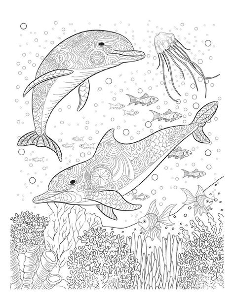 dolphin coloring pages  adults  getdrawings