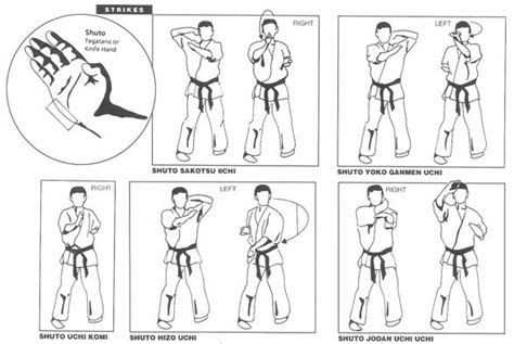kyokushin karate shotokan karate judo goju ryu art  fighting martial arts workout