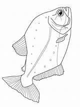 Vissen Kleurplaat Poisson Kleurplaten Fisch Malvorlage Fish Malvorlagen Imprimer Stemmen Besuchen Template Stimmen sketch template