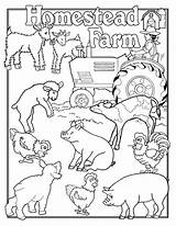 Farm Coloring Pages Animals Animal Printable Kids Color Family People Jobs Web Charlotte Print Farms Fair Country Sheets Sheet Clipart sketch template