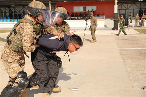 mongolian armed forces national police execute final training exercise