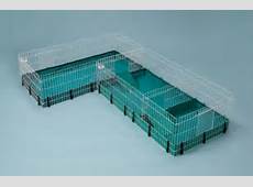 Guinea Pig Large Cages Pets Dwarf Hamster Rat Crates Care Gerbil Small